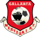 Escudo Meatzari